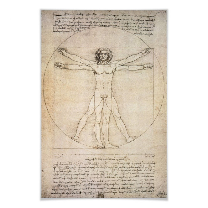 Poster da Vinci - Proportionszeichnung
