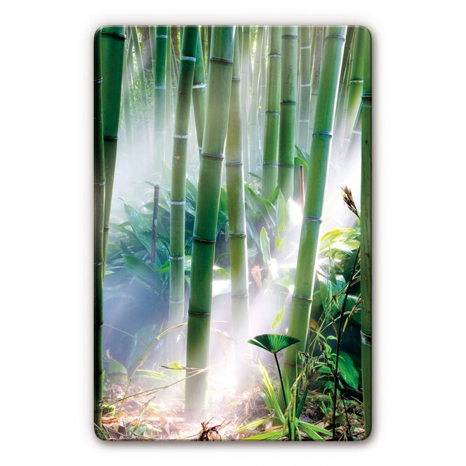 Glasbild Bamboo Forest
