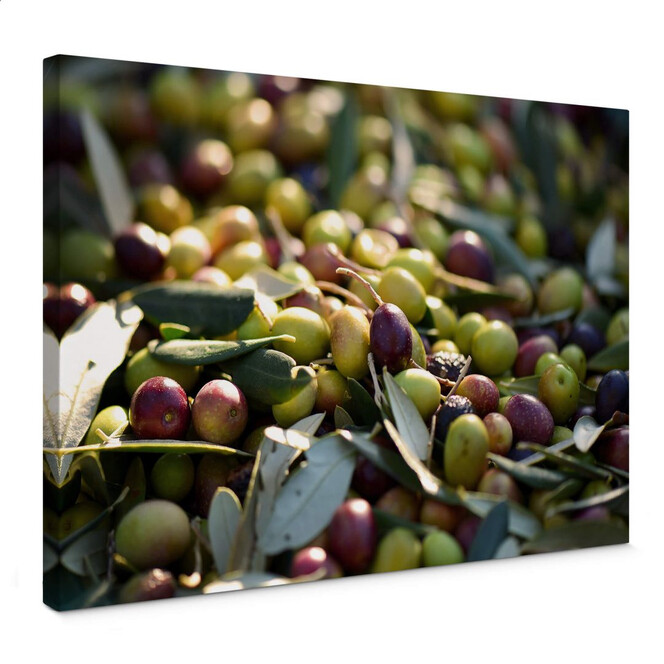 Leinwandbild Mediterrane Oliven