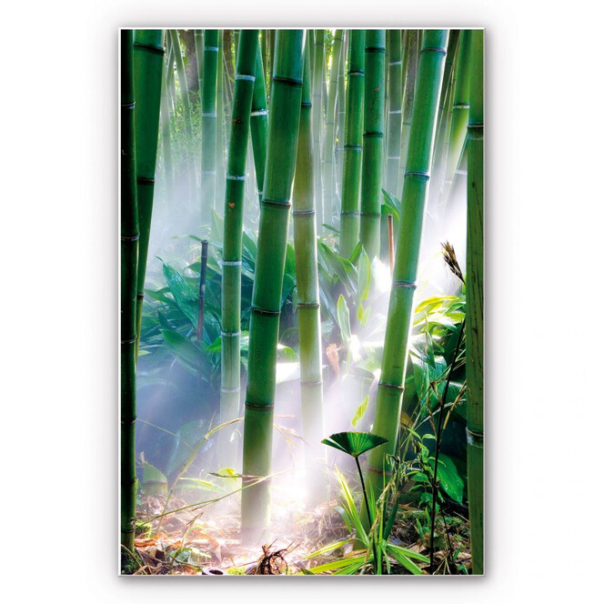 Wandbild Bamboo Forest