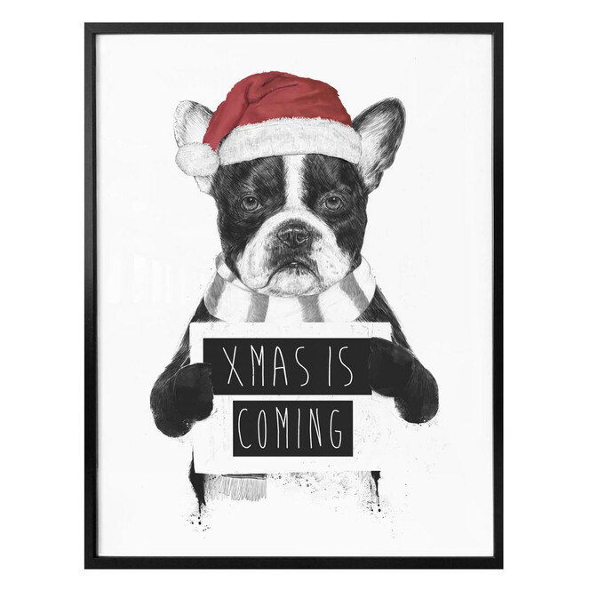 Poster Solti - Xmas is coming