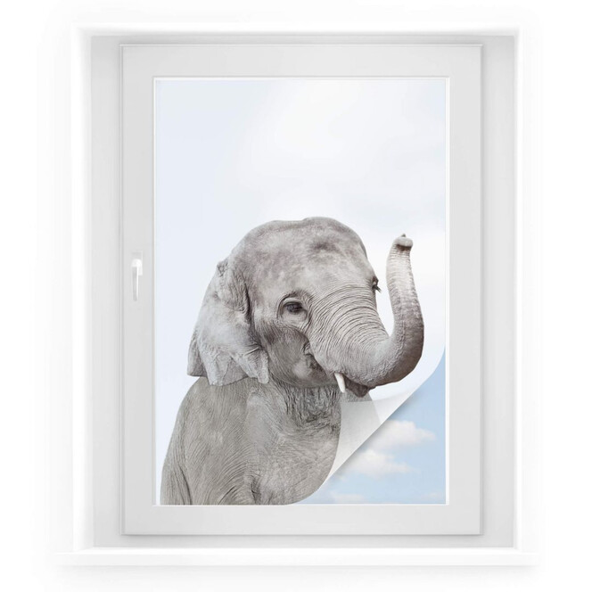 Sichtschutzfolie Sisi & Seb - Baby Elefant