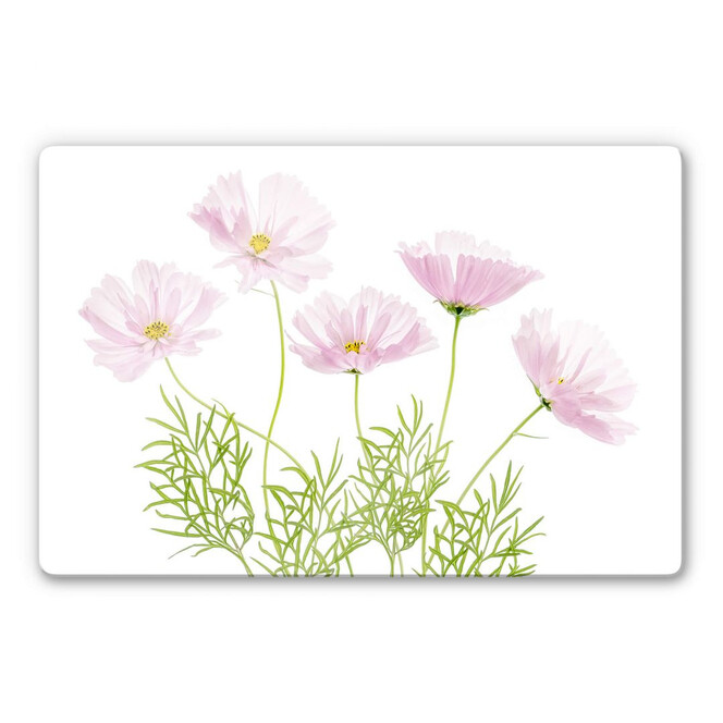 Glasbild Disher - Sommerblume