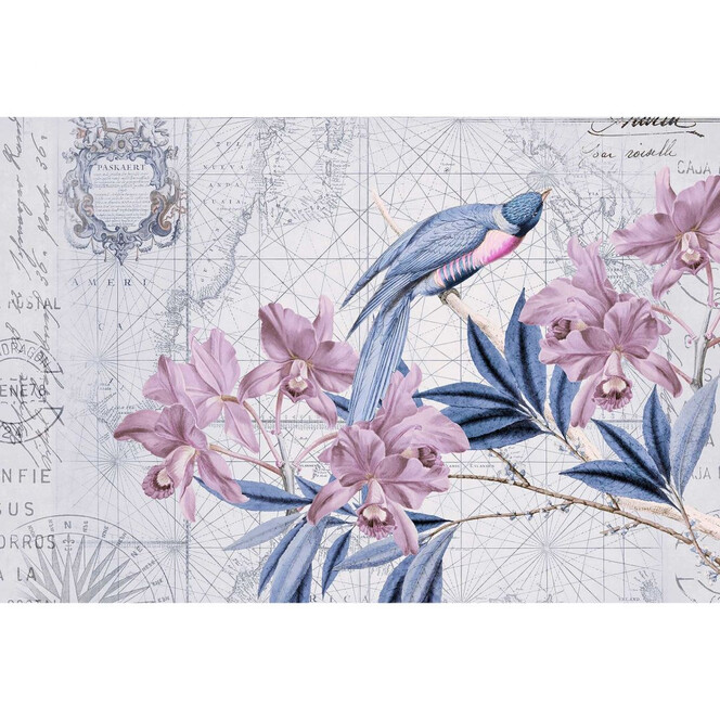 Livingwalls Fototapete ARTist Bird Discovery mit Blumen Vögeln und Weltkarte blau, rosa - Bild 1