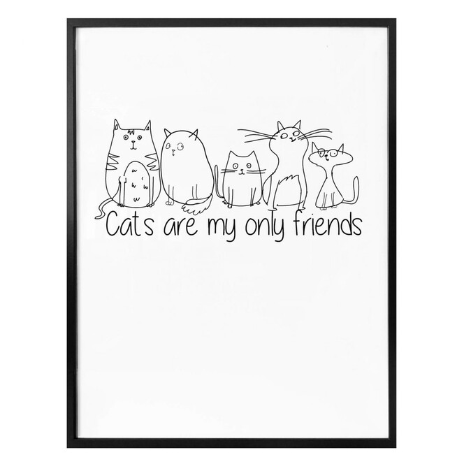 Poster - Cats are my only friends 
