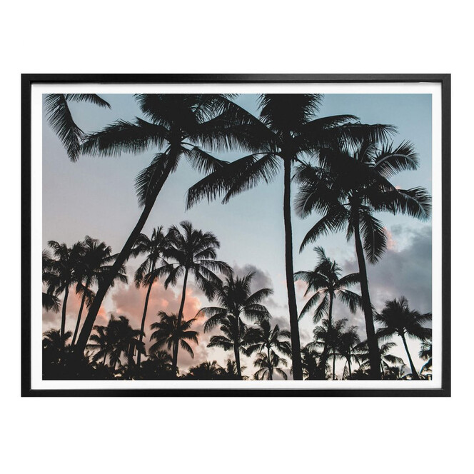 Poster Sunset and Palms