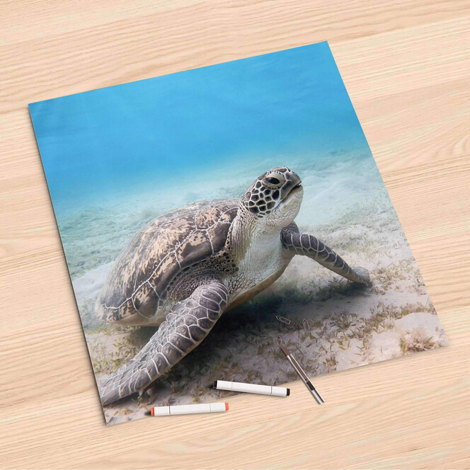 Folienbogen (60x60cm) - Green Sea Turtle- Bild 1