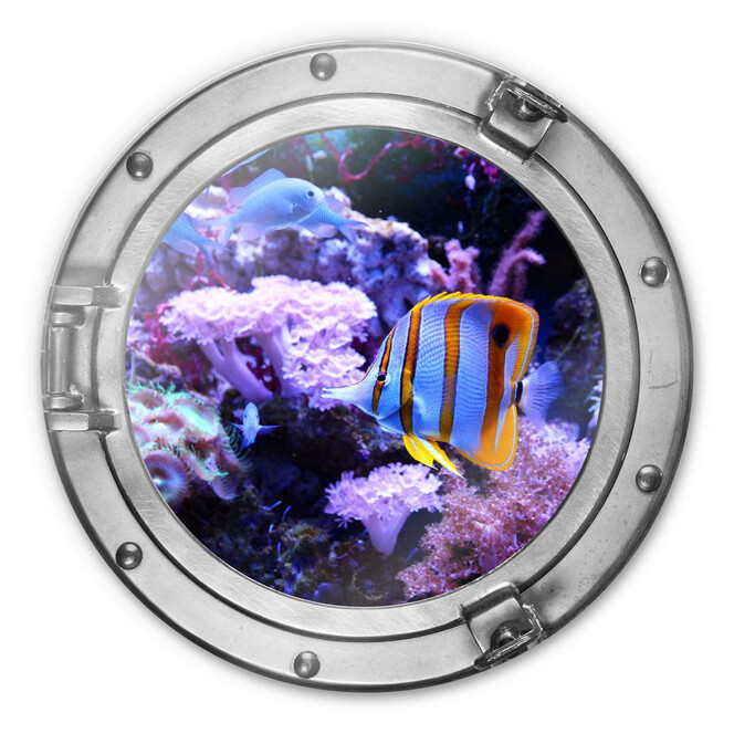 Glasbild rund 3D-Optik Bullauge - Bunte Unterwasserwelt - Lila Korallen