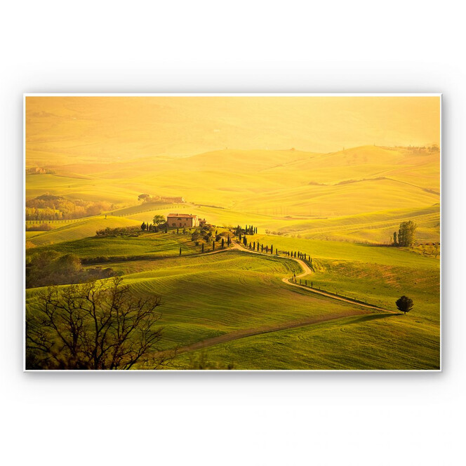 Wandbild Weitblick in der Toskana
