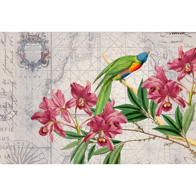 Livingwalls Fototapete ARTist Bird Discovery mit Blumen Vögeln und Weltkarte beige, gelb, grün, rosa - Bild 1