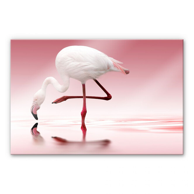 Acrylglasbild Reindl - Pink Flamingo
