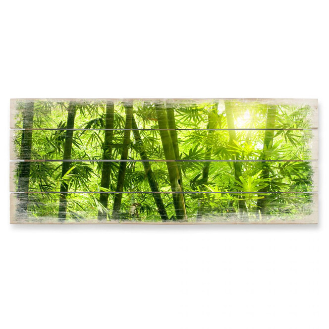Holzbild Sonnenschein im Bambuswald - Panorama
