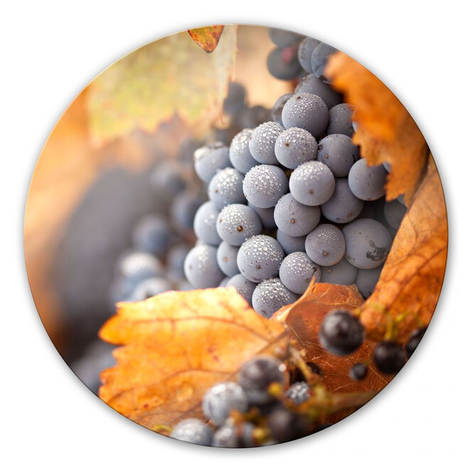 Glasbild Wein im Herbst - rund