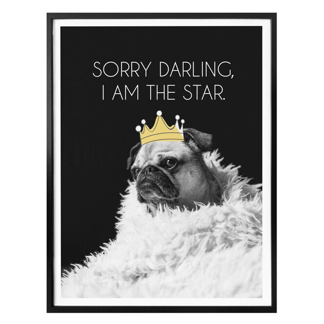 Poster Sorry Darling, I am the star