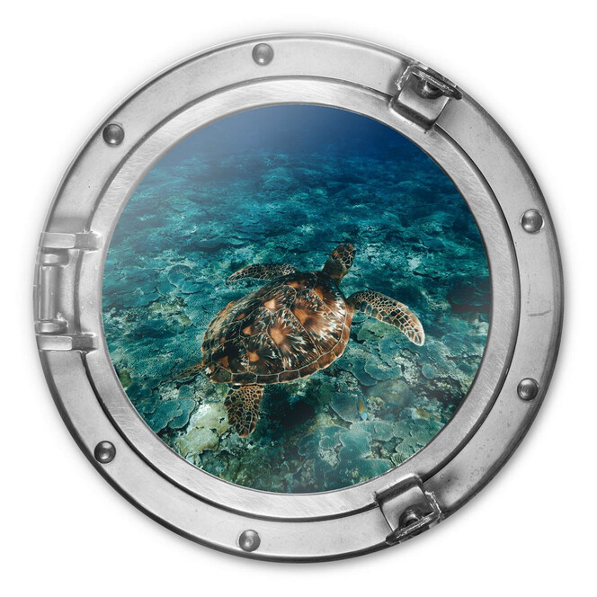 Glasbild rund 3D-Optik Bullauge - Schildkröte von oben