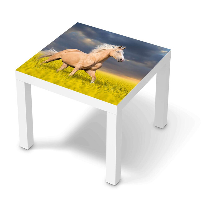 Möbelfolie IKEA Lack Tisch 55x55cm - Wildpferd- Bild 1