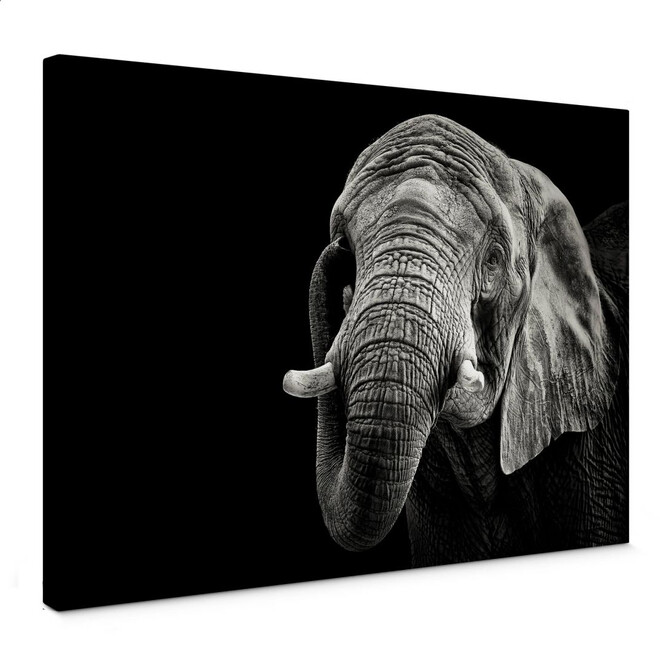 Leinwandbild Meermann - Der Elefant