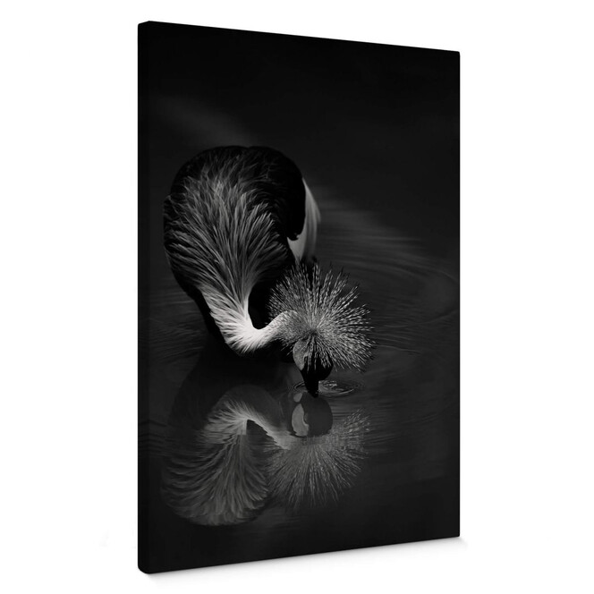 Leinwandbild Tjandra - Vogel Reflexion - schwarz-weiss