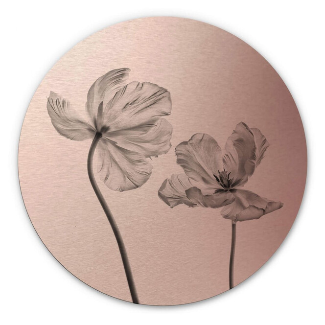 Alu-Dibond Bild mit Kupfereffekt Grønkjær - Tulpenblüte - Rund