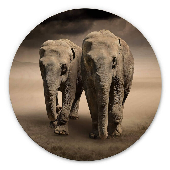 Holzbild Die Elefanten - Rund