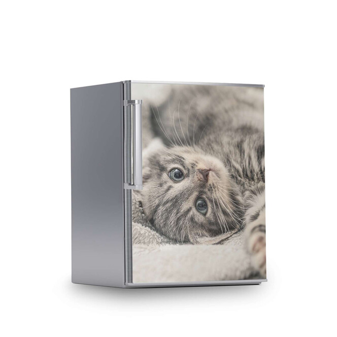 Kühlschrankfolie 60x80cm - Kitty the Cat- Bild 1