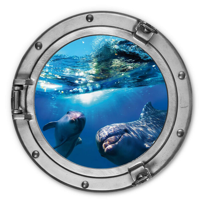 Alu-Dibond 3D Optik - Dolphins Underwater - Rund