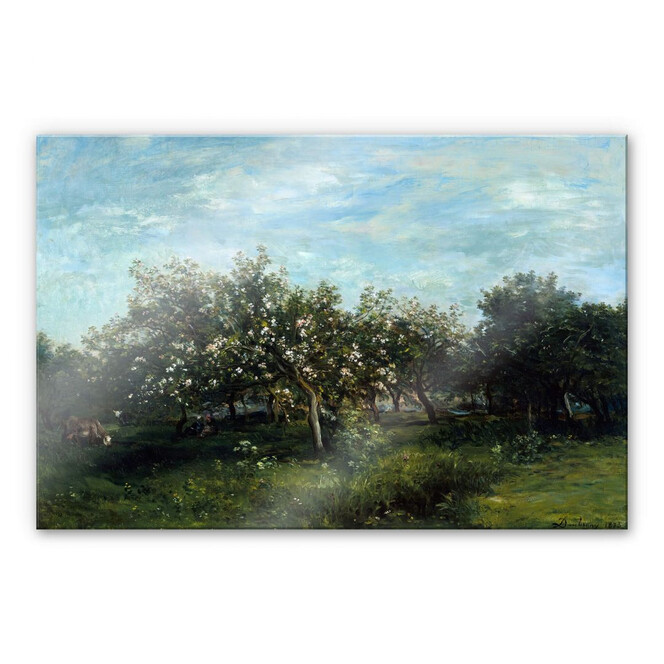 Acrylglasbild Daubigny - Apfelblüte