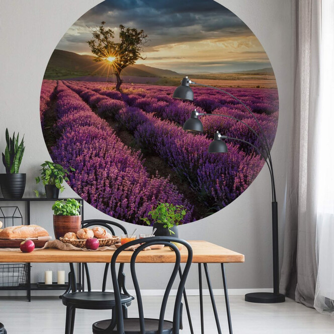 Fototapete - Lavendelblüte in der Provence