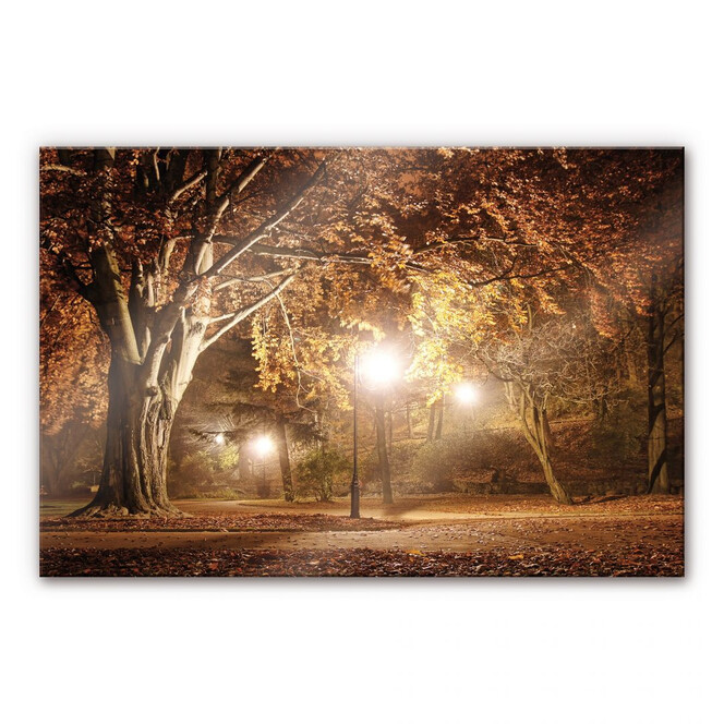 Acrylglasbild Herbst im Park