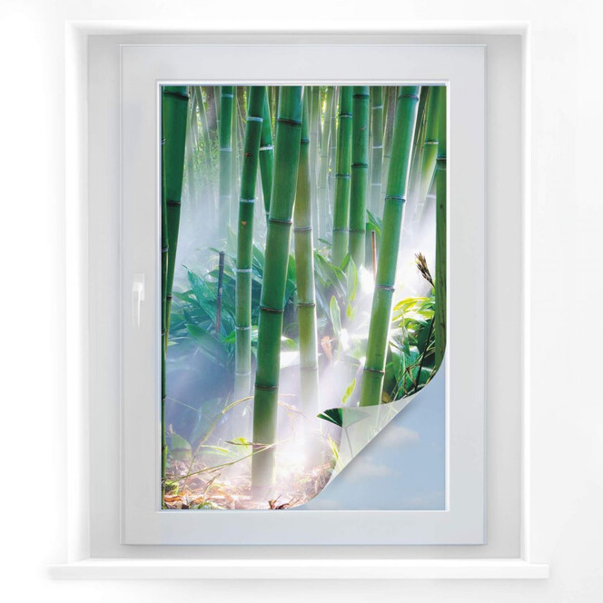Sichtschutzfolie Bamboo Forest