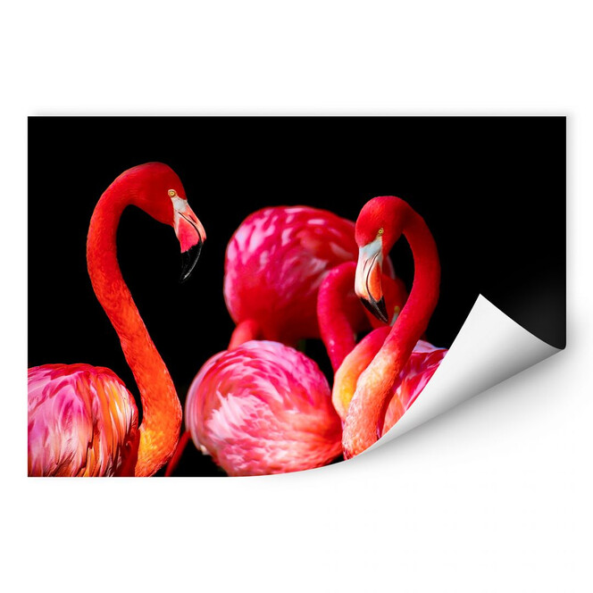 Wallprint Pink Flamingo