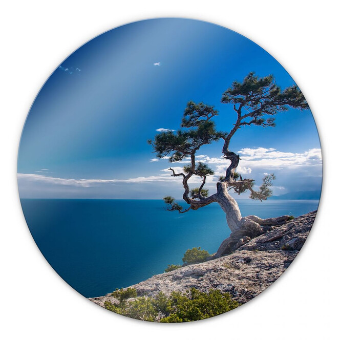 Glasbild Sea and Tree - rund