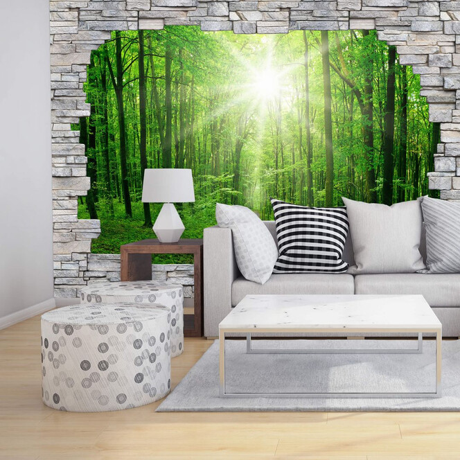 3D Fototapete Sunny Forest Mauer