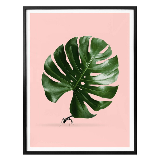 Poster Loose - Monstera Ant