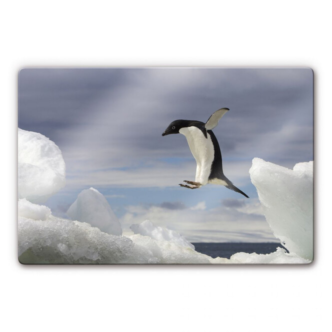 Glasbild NG Pinguin Fly
