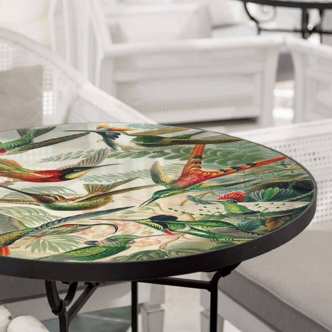 Tischplatte aus Glas - Haeckel - Kolibris - Rund