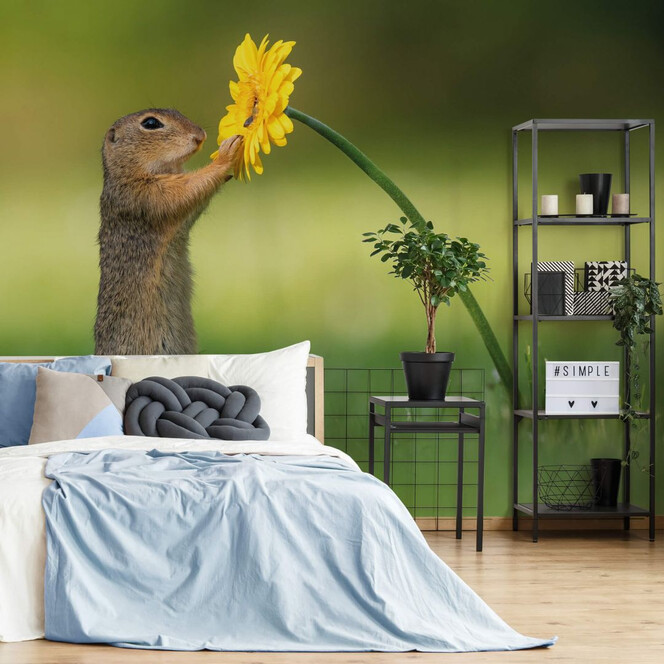 Fototapete van Duijn - Erdhörnchen hält Blume