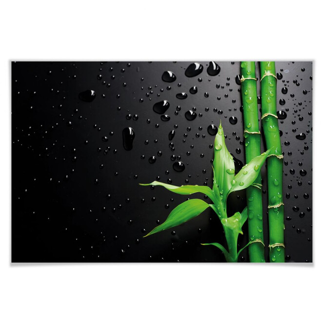Poster Bamboo over Black