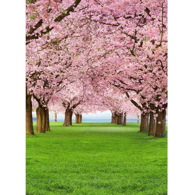 Fototapete Papiertapete Cherry Trees - 183x254cm - Bild 1