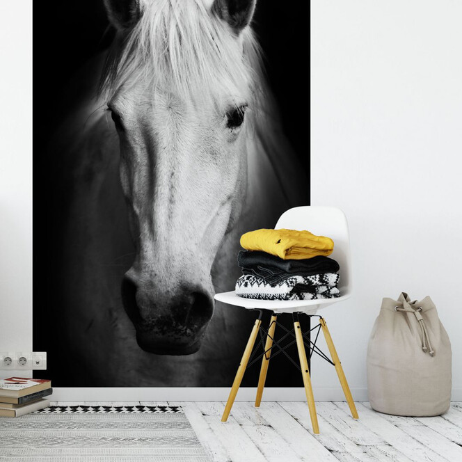 Fototapete White Horse - 144x260cm - Bild 1