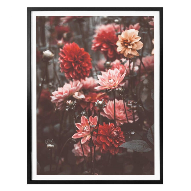Poster Annie - Sommerblüten