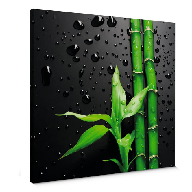 Leinwandbild Bamboo Over Black - quadratisch