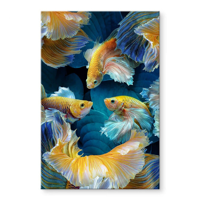 Acrylglasbild Egger - Farbenfrohe Fische