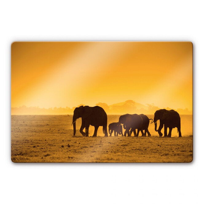Glasbild Elefantensilhouetten