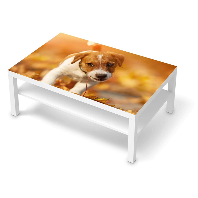 Klebefolie IKEA Lack Tisch 118x78cm - Jack the Puppy- Bild 1