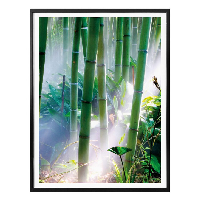 Poster Bamboo Forest - Detail