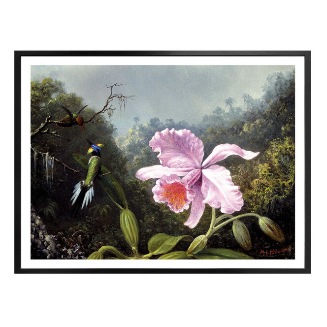 Poster Heade - Stillleben mit Orchidee und Kolibris