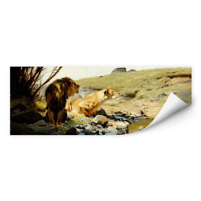 Wallprint Kuhnert - Ein Löwe und eine Löwin an einem Bach