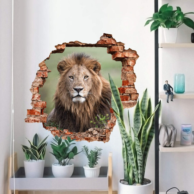 3D Wandtattoo van Duijn - Im Blick des Löwen