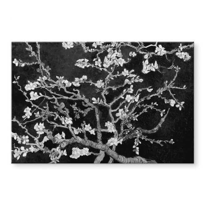 Acrylglasbild van Gogh - Mandelblüte - schwarz